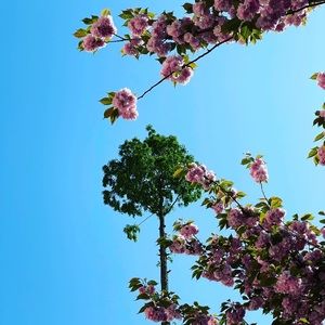 Meet your Posher, Winnie